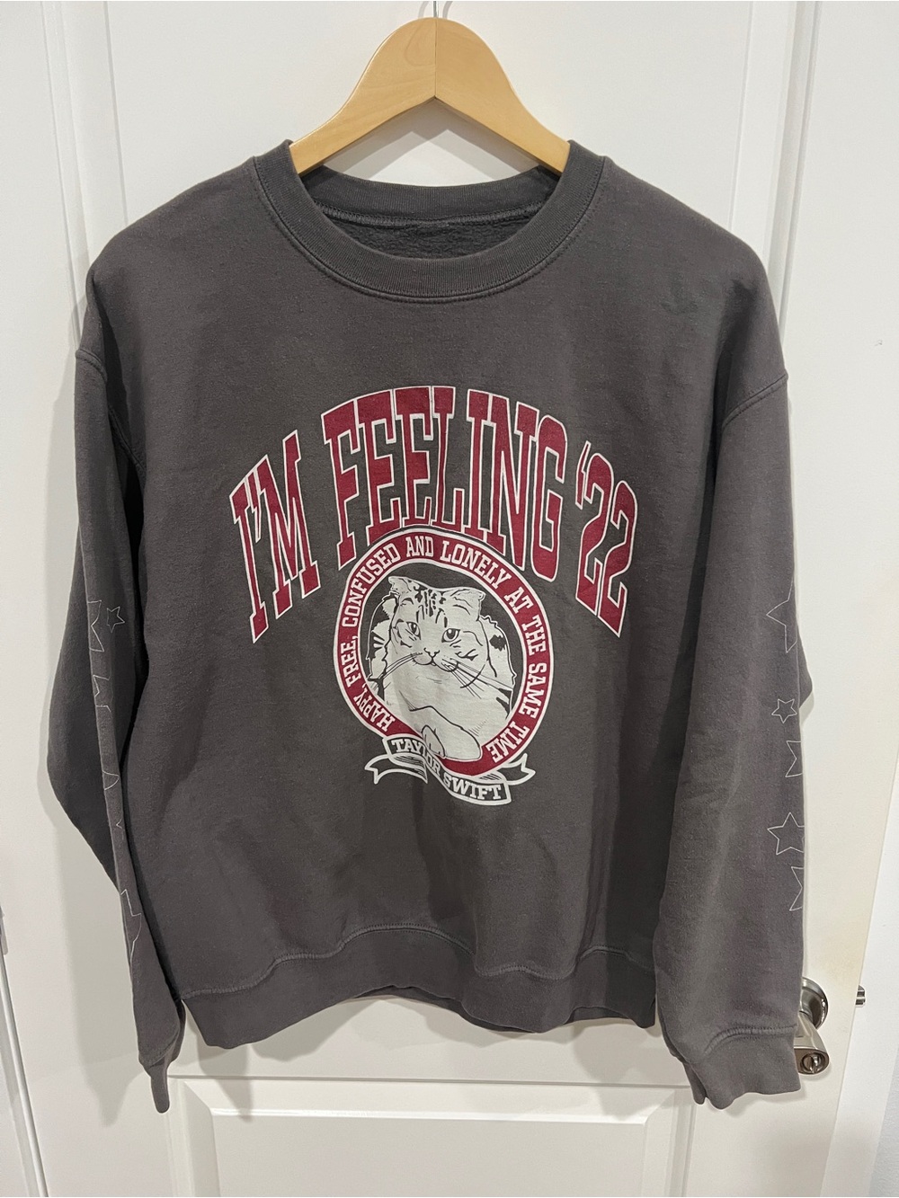 Taylor Swift "I'm Feeling '22" Cat Graphic Concert Tour Merch Grey - sz M